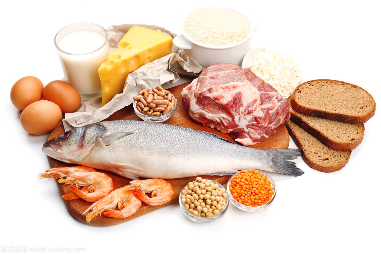 高蛋白质的食物与日用品 全面指南
