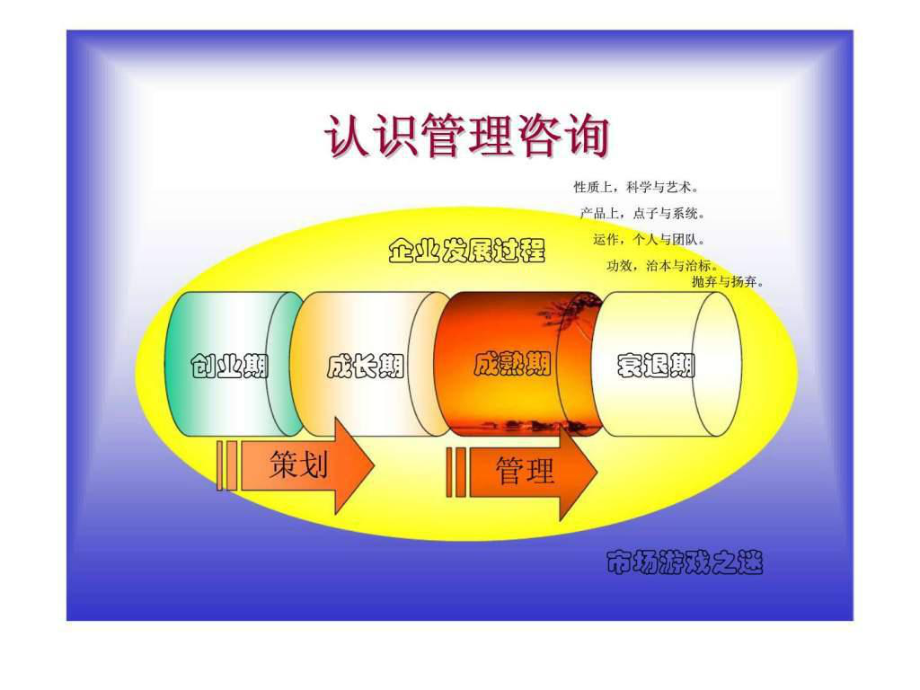 管理咨询业分析 行业概述、趋势与挑战