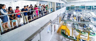 牛奶煮沸为何不见奶皮？餐饮企业这样解答市民疑问